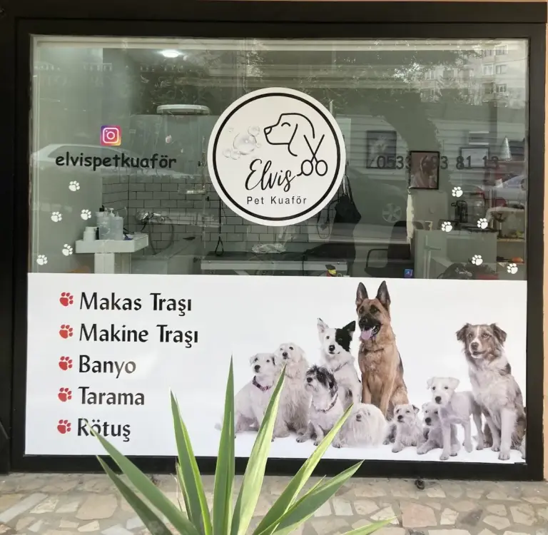 elvis pet kuafor kadikoy 47358a2c