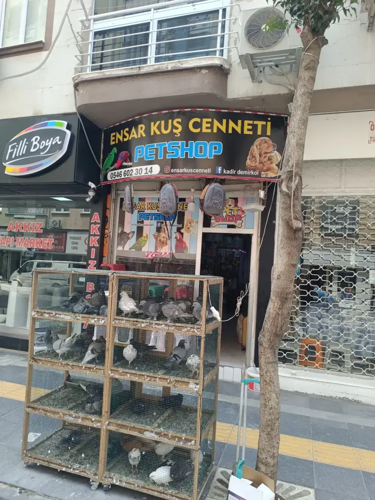 ensar kus cenneti petshop c58ba1e7