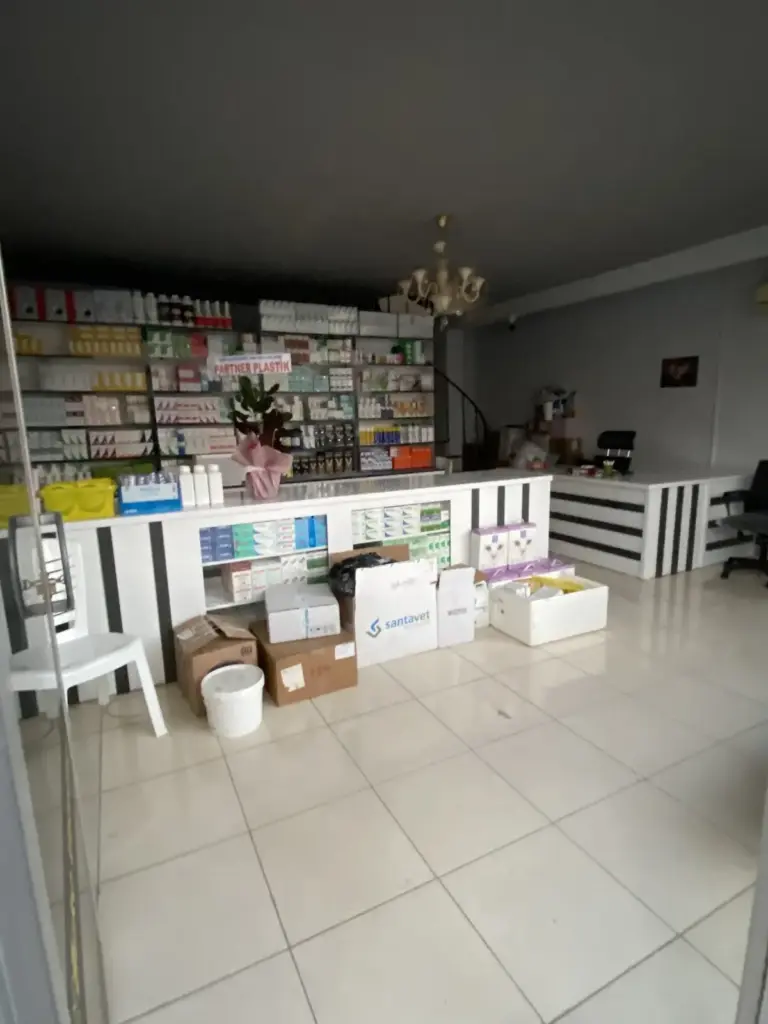 erdemli buko veteriner klinigi 05c5cf8d