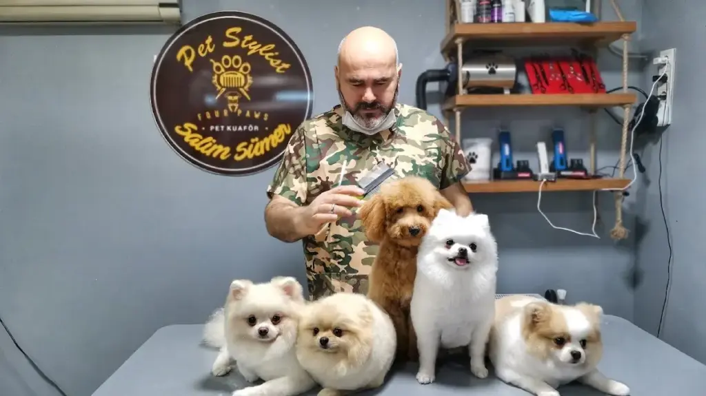 four paws pet kuafor pet shop aec31f61