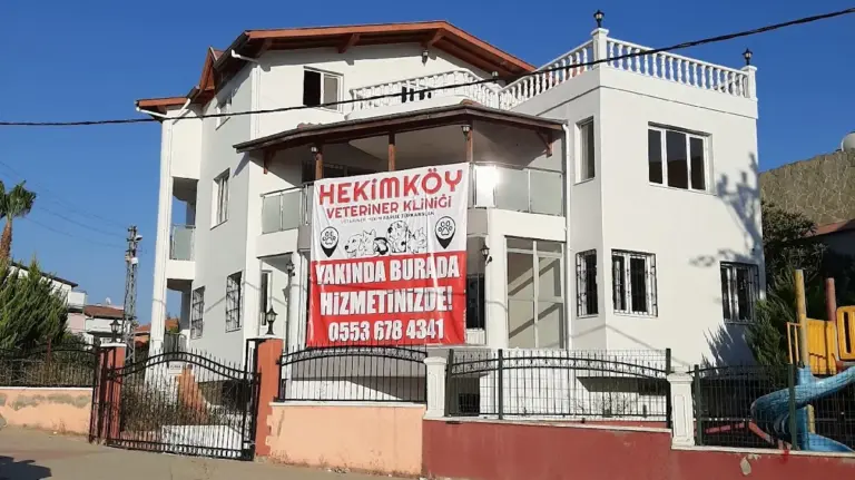 hekimkoy veteriner klinigi f6a99898