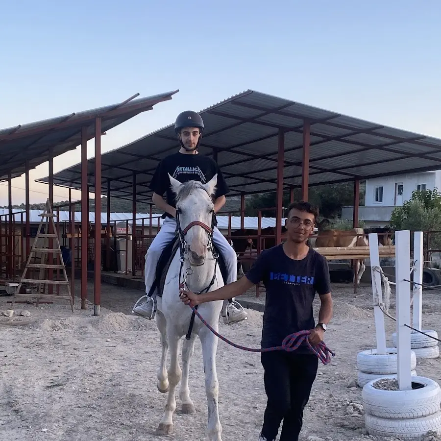 horse dog academy mersin silifke at ciftligi kopek oteli ve kahvalti GrnQF