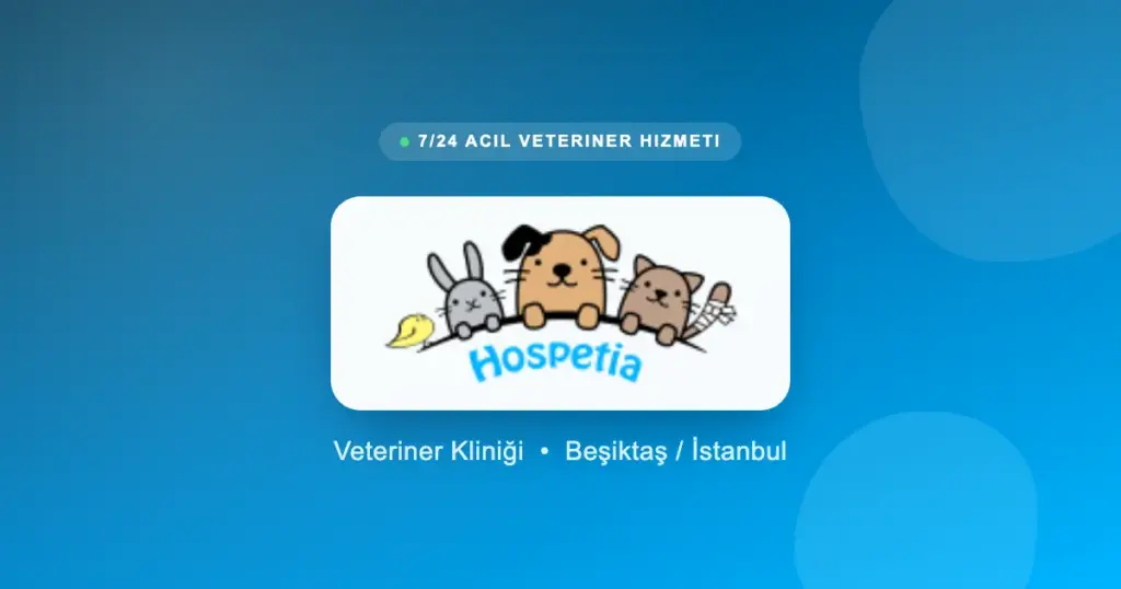 hospetia veteriner klinigi profile zfuZgg