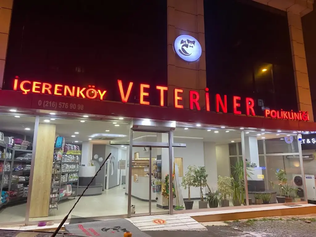 icerenkoy veteriner poliklinigi 2715802b