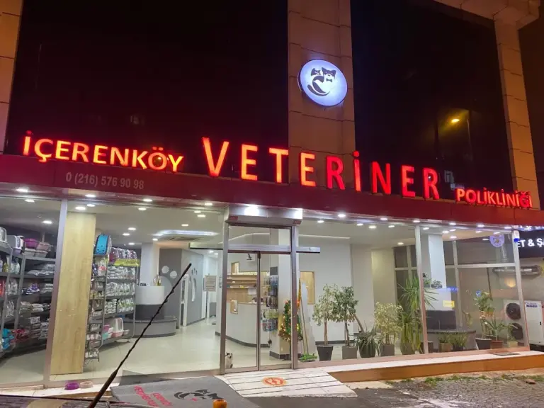 icerenkoy veteriner poliklinigi 2715802b