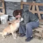 insancil kizim rolly sokaktan kurtuldu yuva ariyorum 1217563