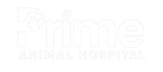 International Prime Animal Hospital