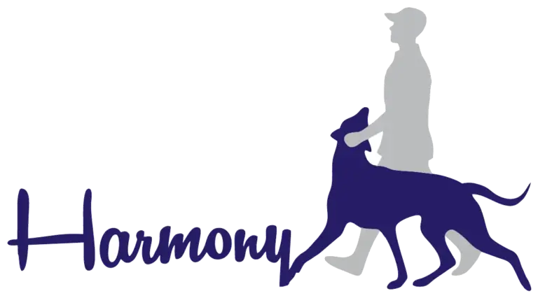 İstanbul Köpek Eğitimi – Harmony