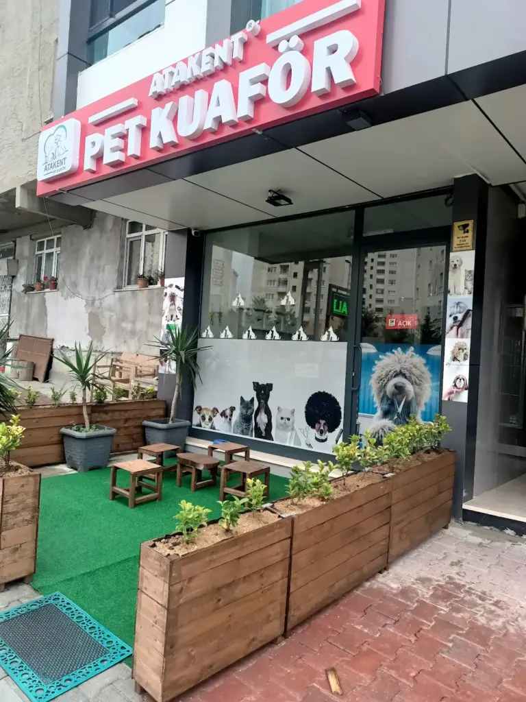 istanbul pet kuafor atakent pet kuafor istanbul anestezisiz kedi tirasi istanbul kopek tirasi 31979c20