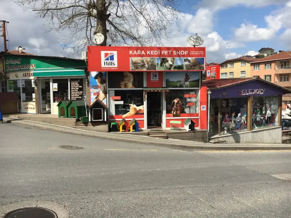kara kedi pet shop 28cb9a36