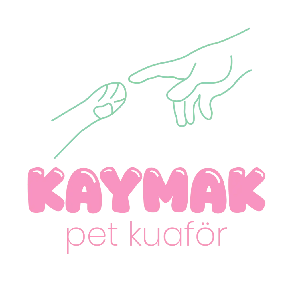 kaymak pet kuafor uskudar profile UACeeH