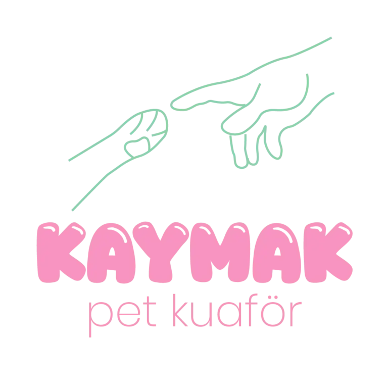 kaymak pet kuafor uskudar profile UACeeH