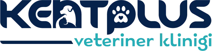 kentplus veteriner klinigi 7 24 kadikoy acil veteriner profile IMofL7