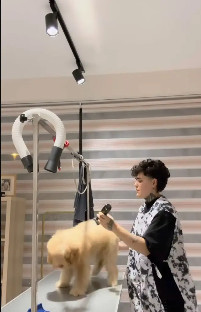 kigi pet kuafor 657d4987