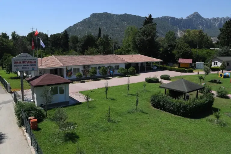 konyaalti belediyesi veteriner isleri mudurlugu 8e97eb07