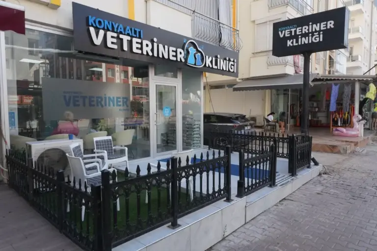 Konyaaltı Veteriner Kliniği