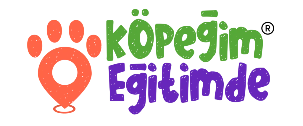 kopegim egitimde 2cr egitim hizmetleri ve ticaret a s profile 9lujl8