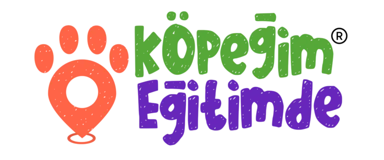 kopegim egitimde 2cr egitim hizmetleri ve ticaret a s profile 9lujl8
