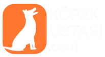 kopek ustasi taner gumusgerdan profile ivQB79