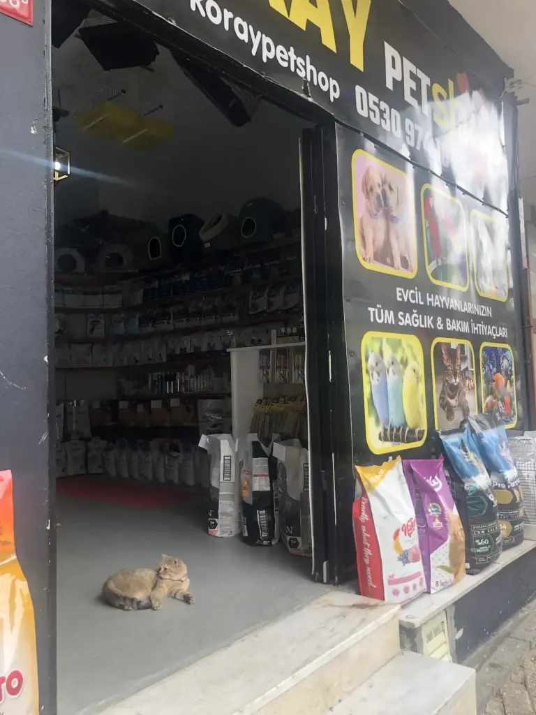 koray petshop 8befa894
