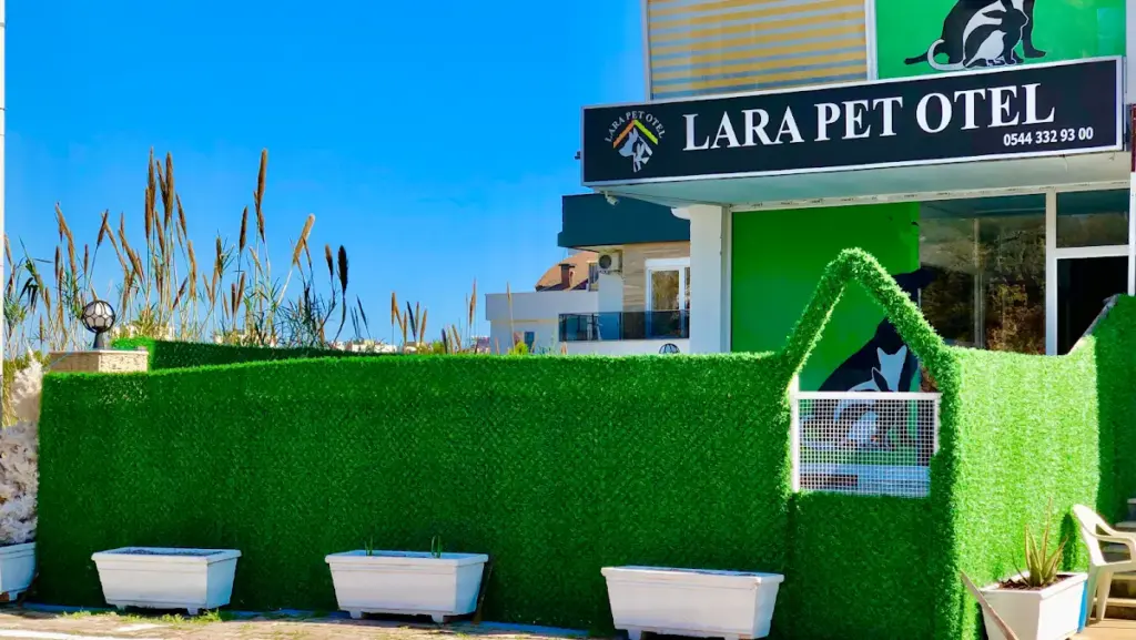 lara pet otel 032656eb