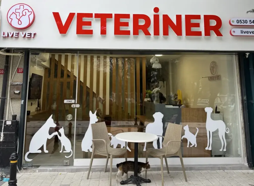 live vet veteriner klinigi 3bdcac07