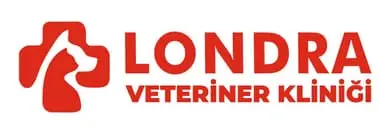londra veteriner klinigi 7 24 acil veteriner bahcelievler profile iNtm6M