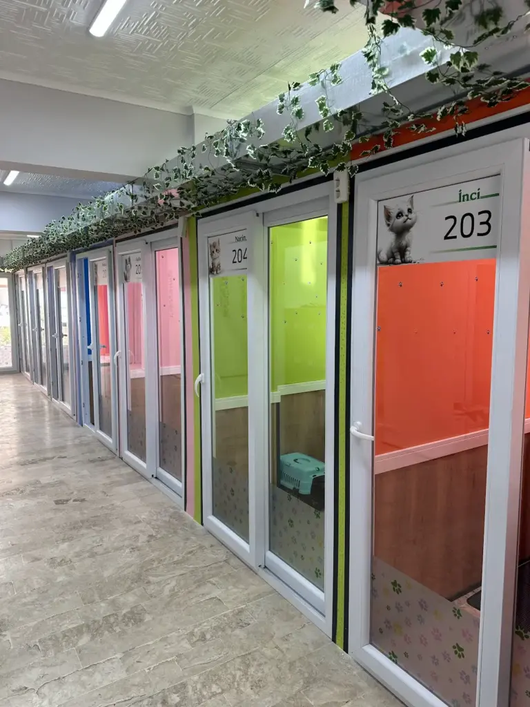 lucky cats hotel kedi oteli c151aa7d