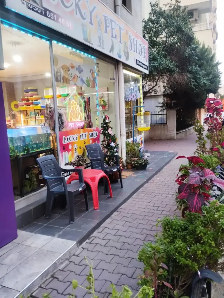 lucky pet shop seyhan 9f52e9e8