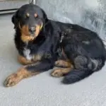 luna yuva ariyor 1201419