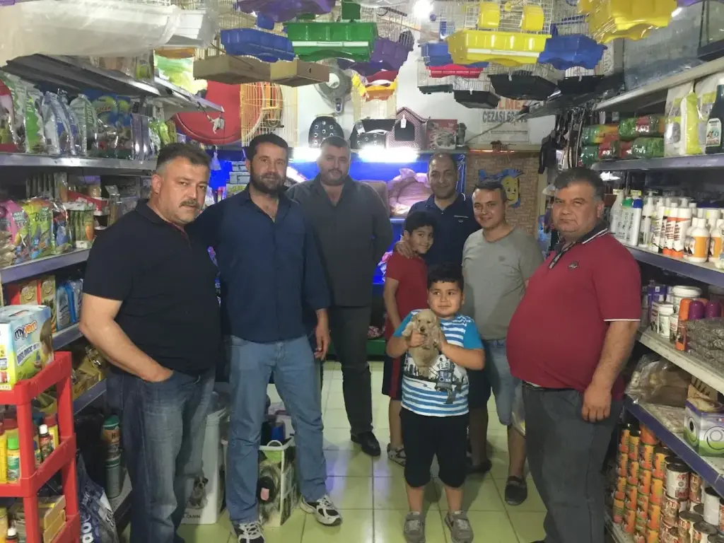mahzun petshop d1bd6ffe
