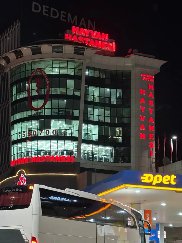 maltepe universal fatih hayvan hastanesi vet hast maltepe kucukyali veteriner bd80f16b