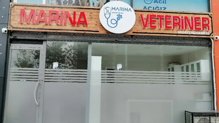 marina veteriner klinigi beylikduzu 7 24 acil veteriner 93c5d905