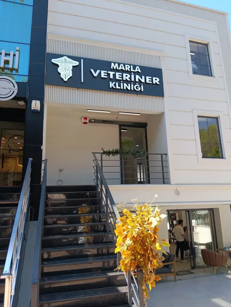 marla veteriner klinigi 2fc6a8df