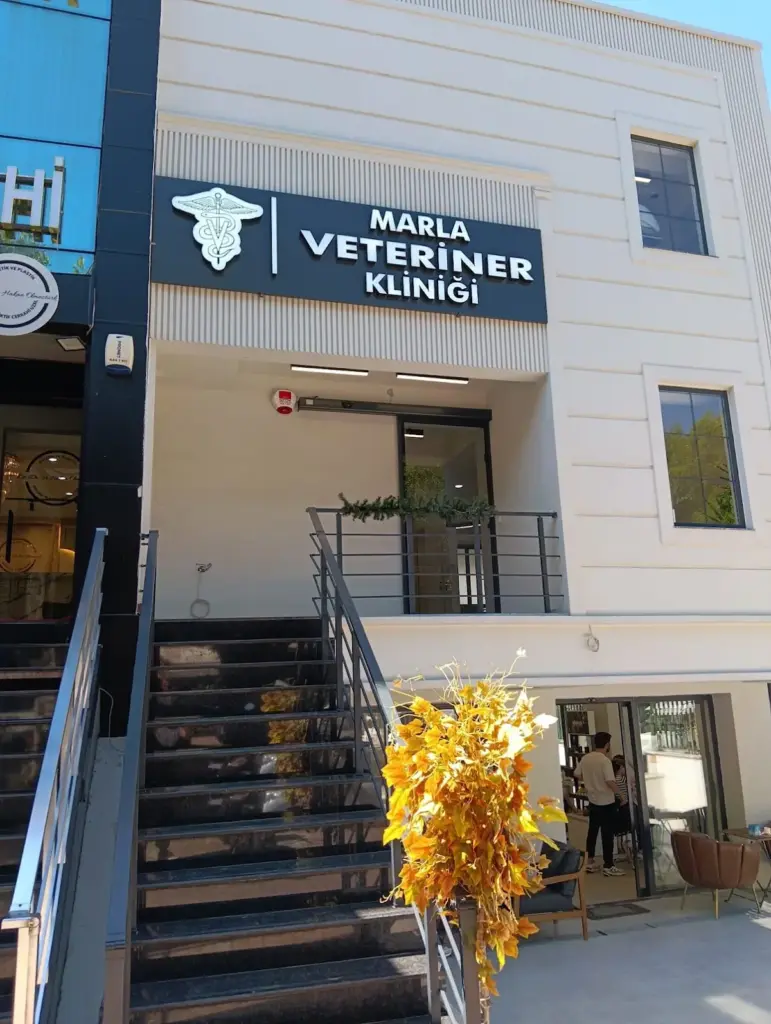 marla veteriner klinigi 2fc6a8df