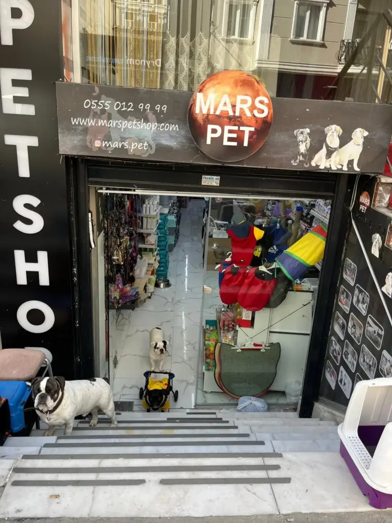 mars petshop grooming studio 2867f638
