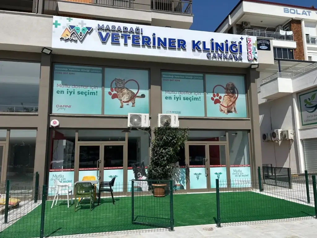 masadagi veteriner klinigi cankaya mazidagi veteriner cankaya veteriner 352195e8