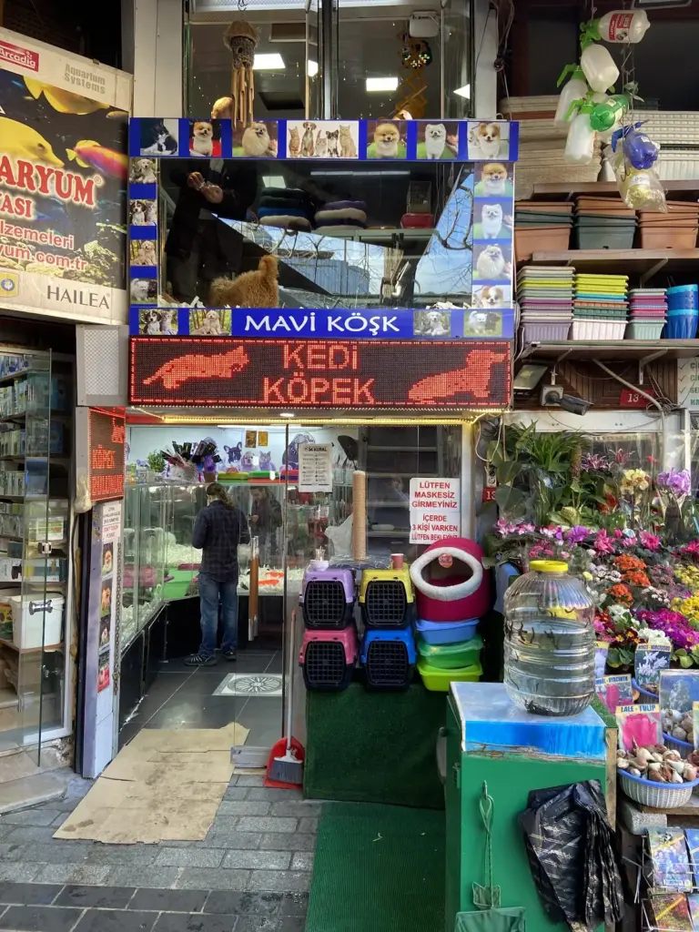 mavi kosk petshop 201e454f