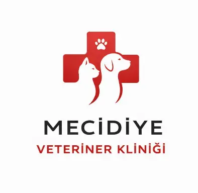 mecidiye veteriner klinigi 7 24 acik acil veteriner besiktas mecidiyekoy sisli profile wUn6Mm
