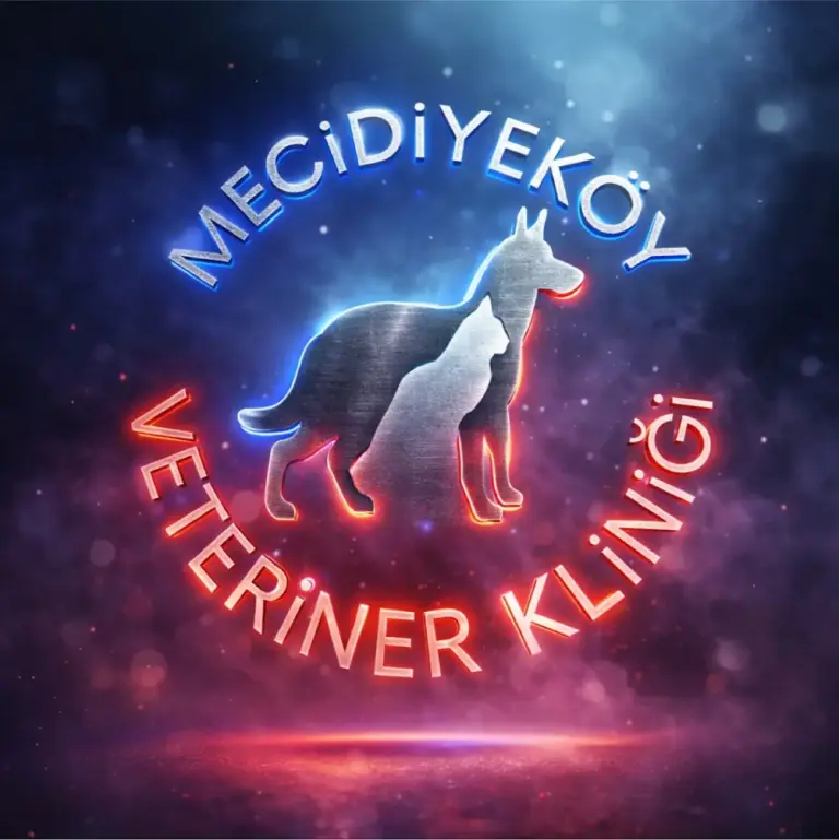 mecidiyekoy veteriner klinigi 6a2c6fa3