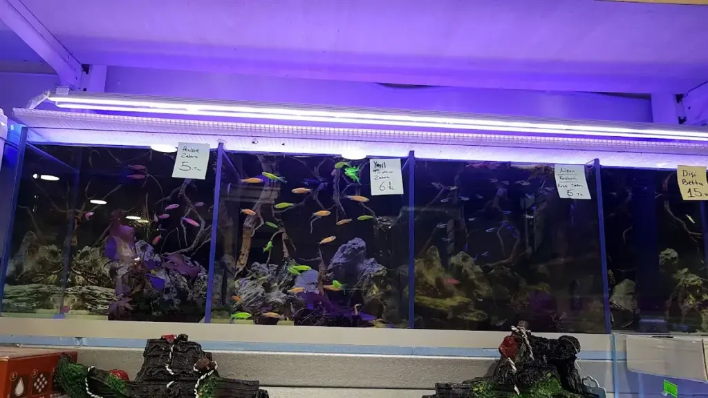 mercan pet shop 364ee185