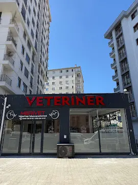 merivet veteriner klinigi 7 24 acil kadikoy 37fa0b04
