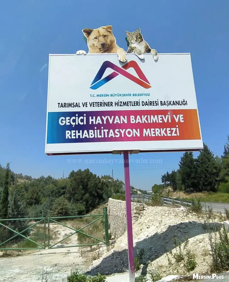 mersin hayvan barinagi profile V6Yn9Z