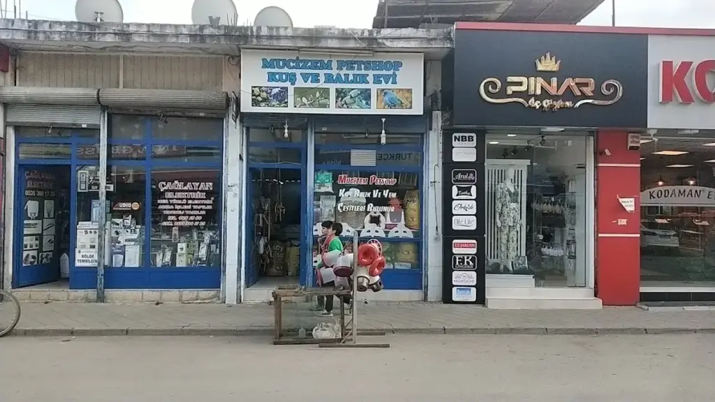 mucizem petshop 224f2281