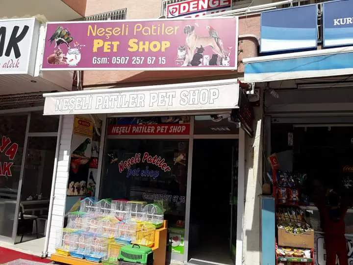 neseli patiler petshop 35613e1a