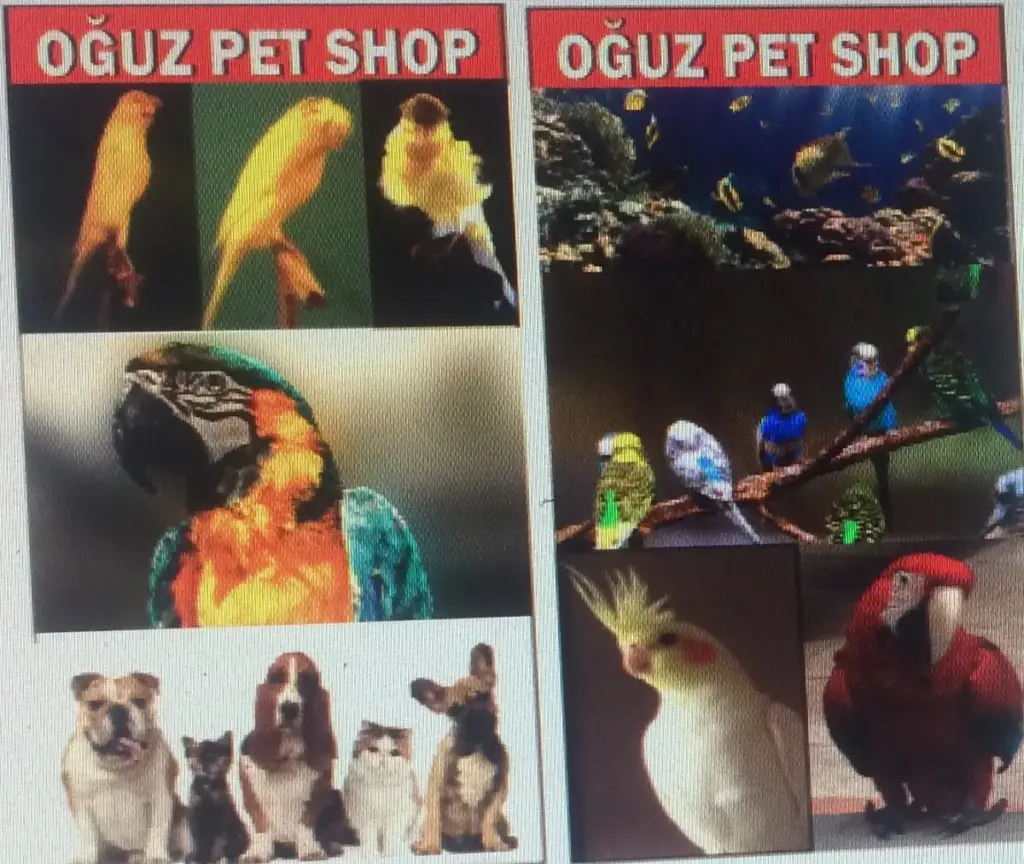 oguz pet shop 237dff65