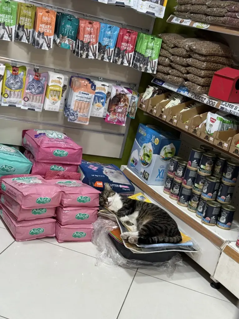 ortakoy vadi petshop 64415cac