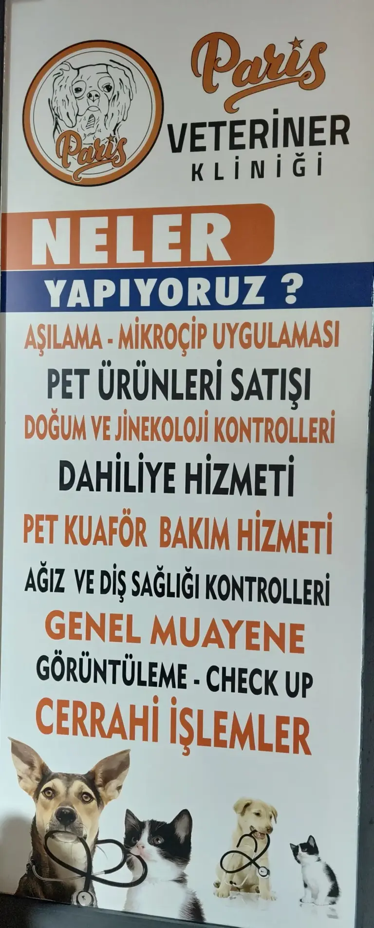paris veteriner klinigi adana 74f61387