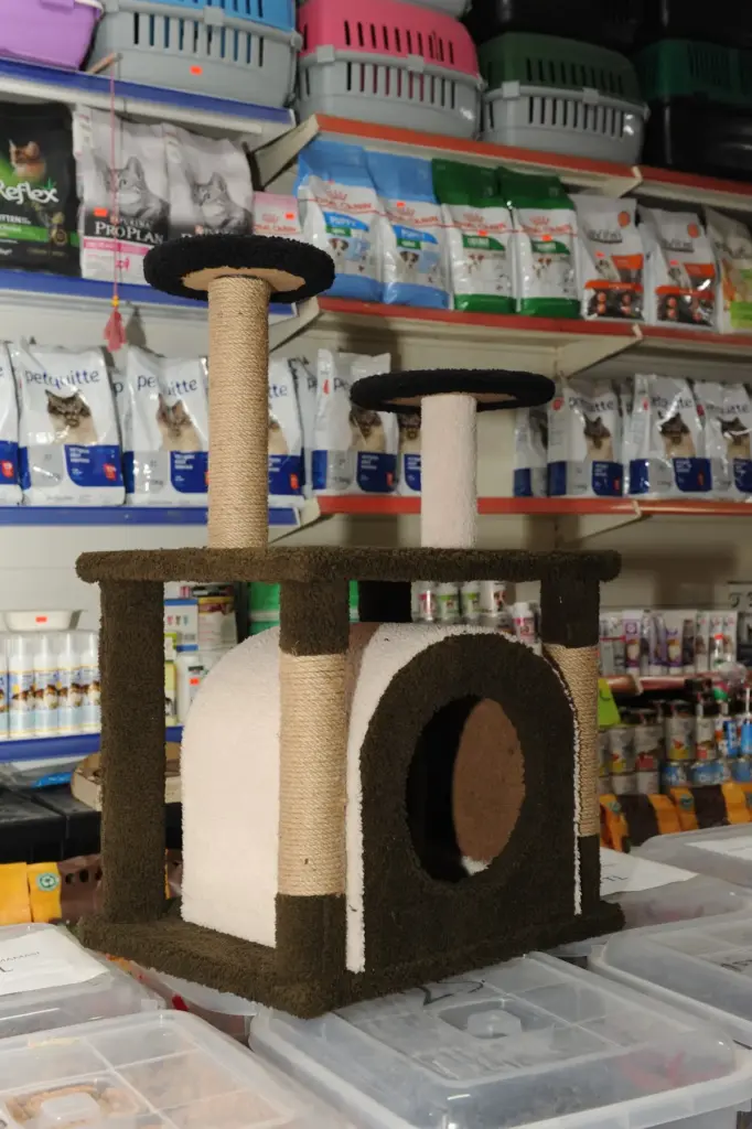 pasam petmarket petshop akvaryum cf994e0a