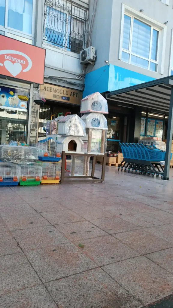 pati dunyasi pirpir kus petshop e050eb14